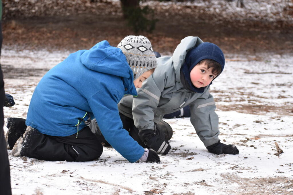 Beginning this September, Rudolf Steiner School is launching its very first outdoor Forest Kindergarten Program for children 4-6 years of age in Central Park. an immersive experience in nature that prepares children for academic learning.